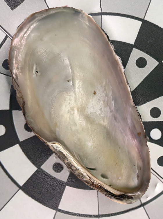 put a description here or you will lose grades